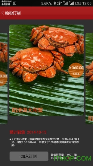 哈哈鏡宅急送圖5