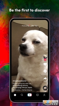 TikTok最新版