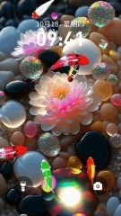 桌面养鱼壁纸(1)