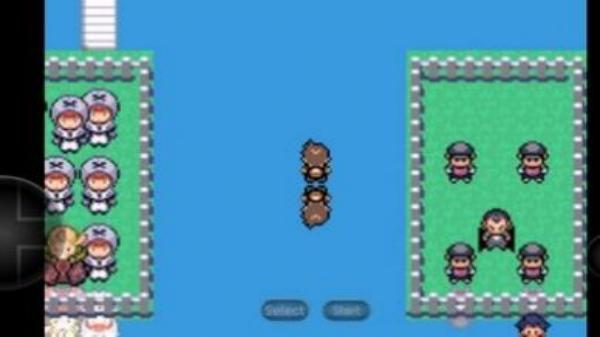 PokeMMO图1