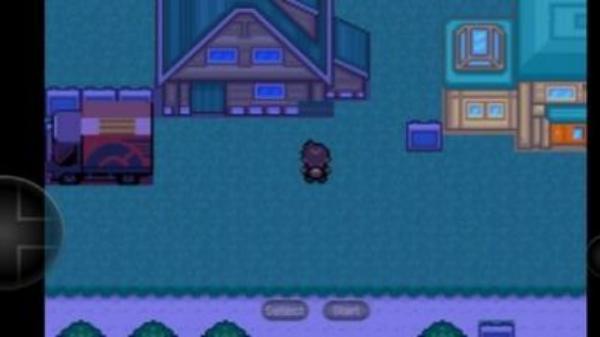 PokeMMO图2