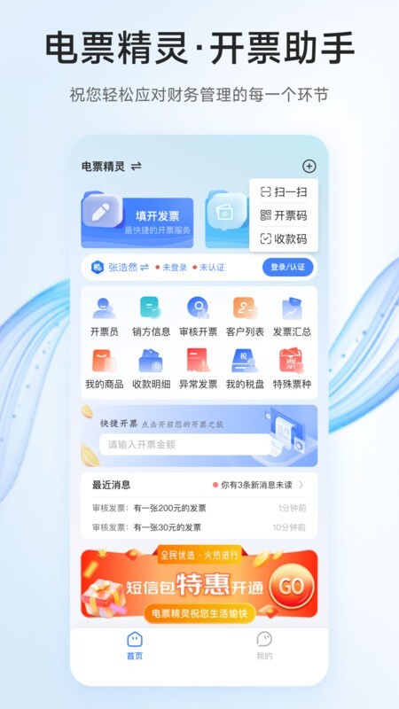 电票精灵软件(1)