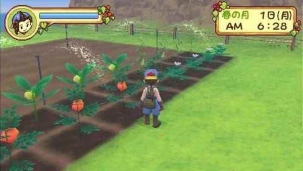 牧场物语蜜糖村与大家的心愿汉化版(4)