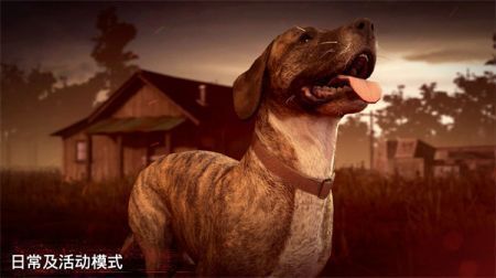 勇闯死人谷2:全速前进(2)