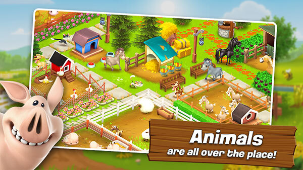 Hay Day(3)