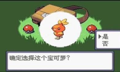 口袋妖怪绿宝石(1)
