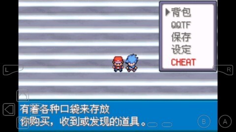 口袋妖怪永恒之焱(2)