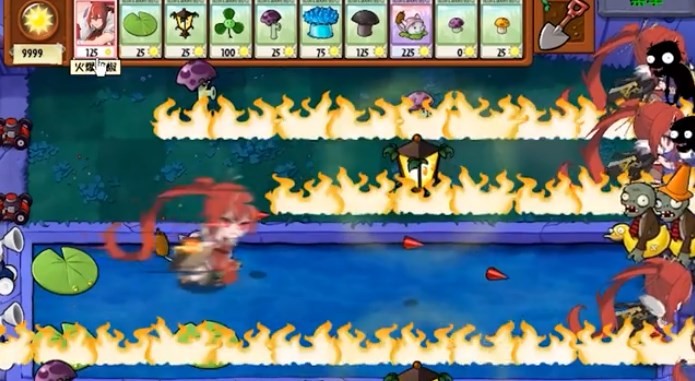 植物娘大戰僵尸莊不純