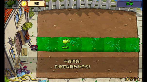 植物娘大戰僵尸莊不純