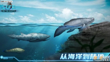 LOE生命简史古生物放置游戏(3)