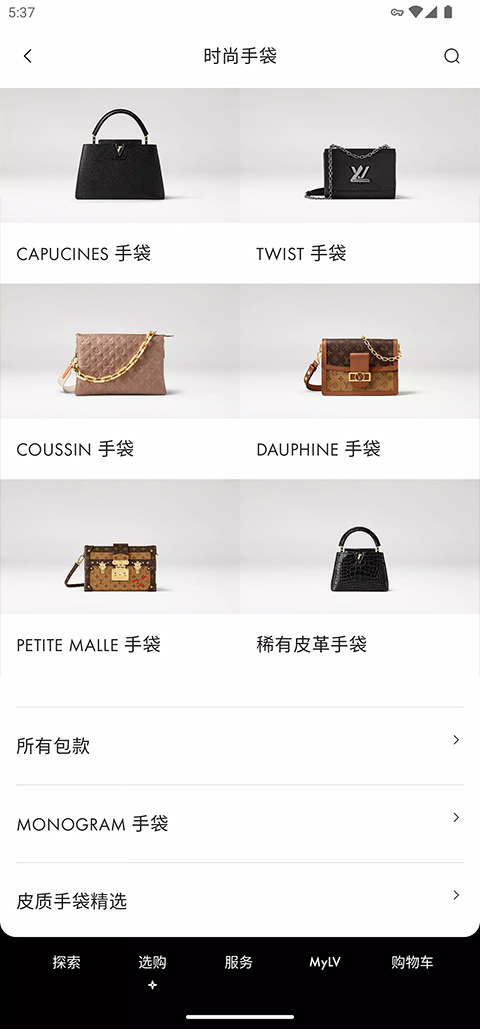 louis vuitton (lv旗舰店)