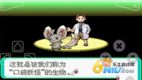 口袋妖怪漆黑的魅影(5)