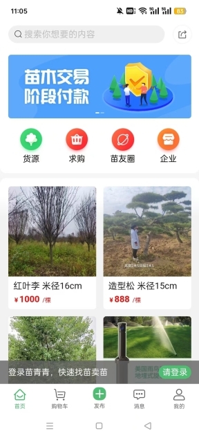 苗青青花木网价格查询图8