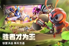 蚁族崛起