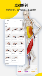 3Dbody解剖图4