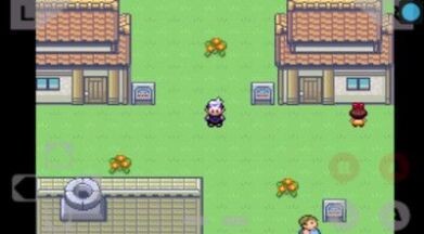 口袋妖怪究极绿宝石5-图3