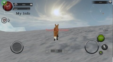 野生动物丛林法则中文版