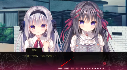 染成紅色的真愛百合截圖0