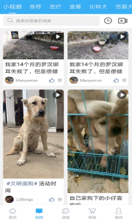 猛犬俱乐部官方版(1)