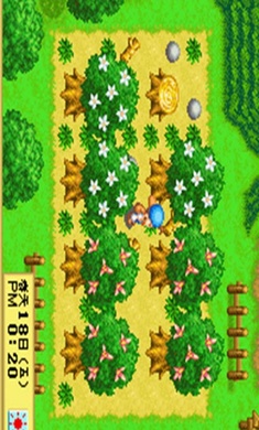 牧场物语精灵驿站(3)