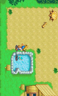 牧场物语精灵驿站(1)