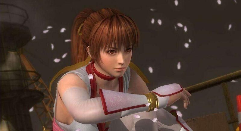 死或生：天堂正版图2