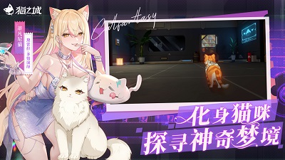 猫之城图5