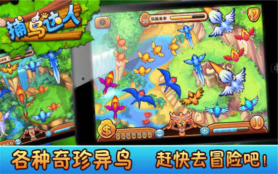 捕鸟达人图3