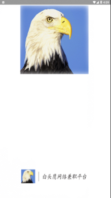 白头鹰网络兼职图1