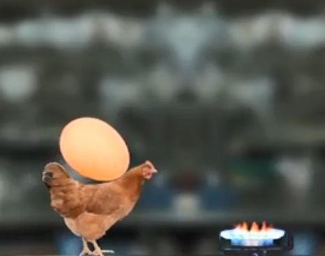 母鸡护蛋模拟器