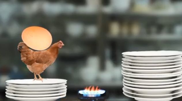 母鸡护蛋模拟器