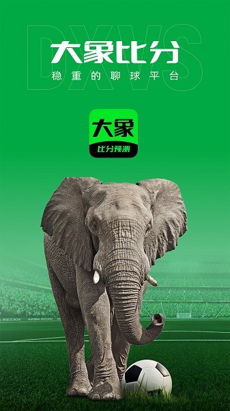 大象比分