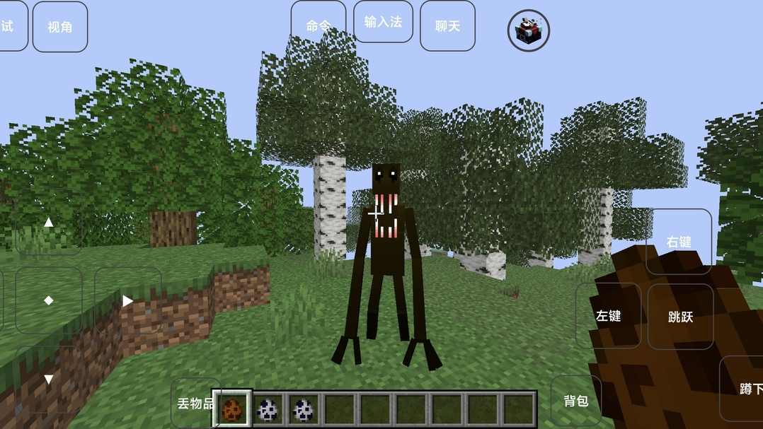 我的世界(雾中人)