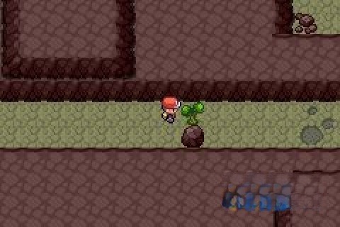 口袋妖怪梦的光点