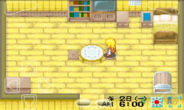 牧场物语女孩版图1