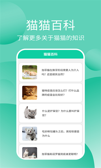 猫猫交流器图2