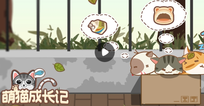 萌猫成长记