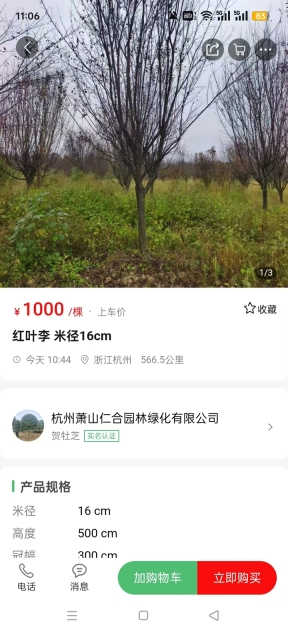 苗青青花木网价格查询