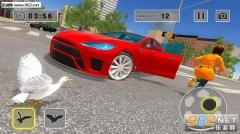 街头捣蛋鹅模拟器安卓版图2