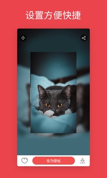 安卓动态壁纸图1