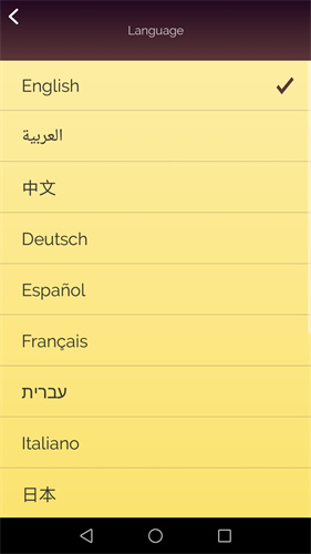 网络天才中文版图5