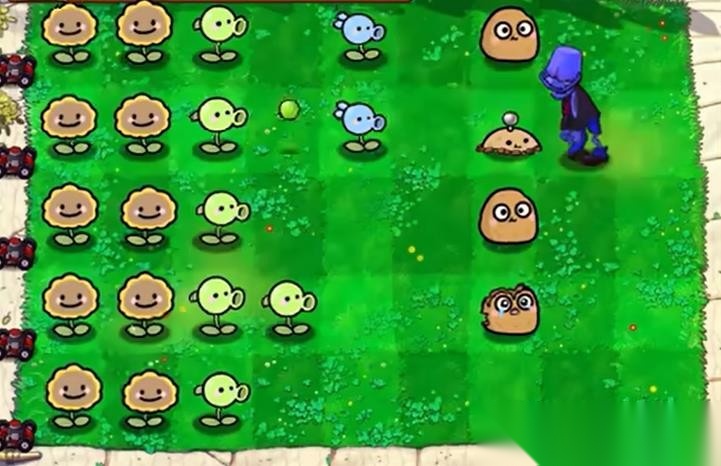 植物大战僵尸幼儿园版(1)
