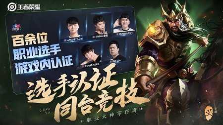 内存小的5王者单机版图2