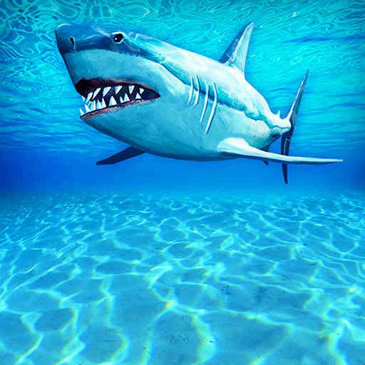 孤舟求生联机版中文版