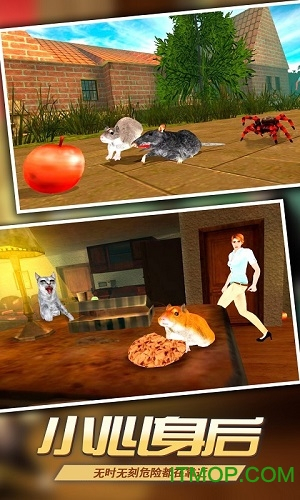 真实老鼠模拟(精灵鼠小弟)(4)