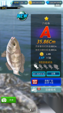 怪鱼猎人安卓版图1