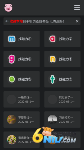 bt磁力猪图1
