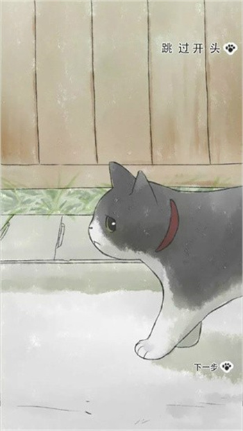 迷途猫-图2