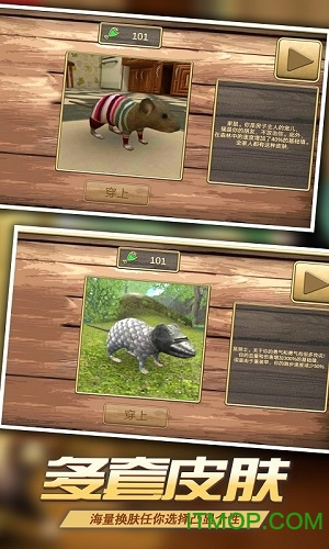 真实老鼠模拟(精灵鼠小弟)(3)