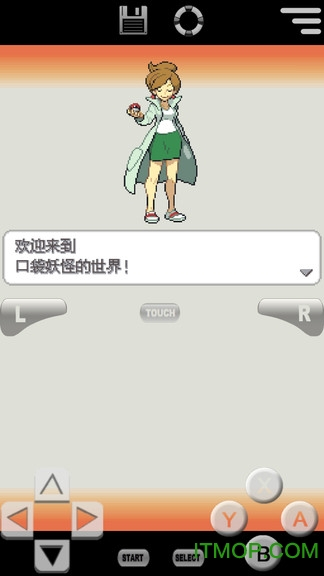 口袋妖怪白2版(1)